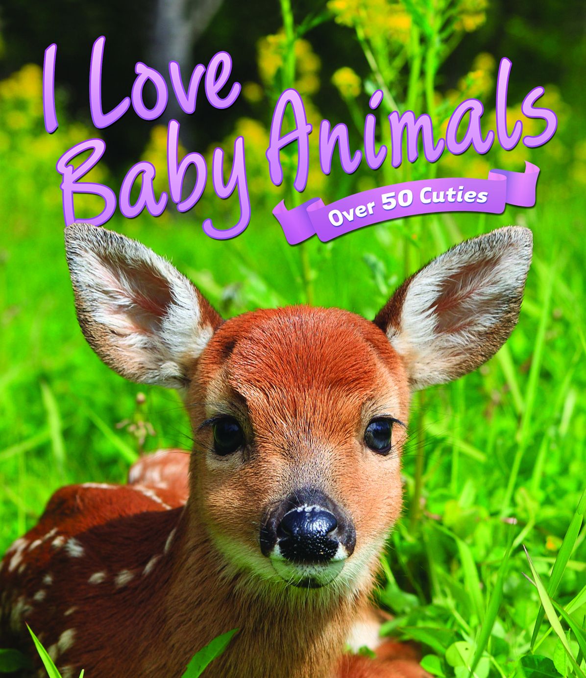 I Love Baby Animals