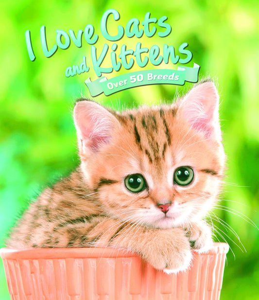 I Love Cats and Kittens