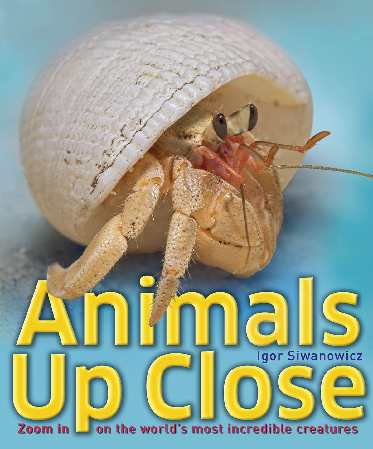 Animals Up Close