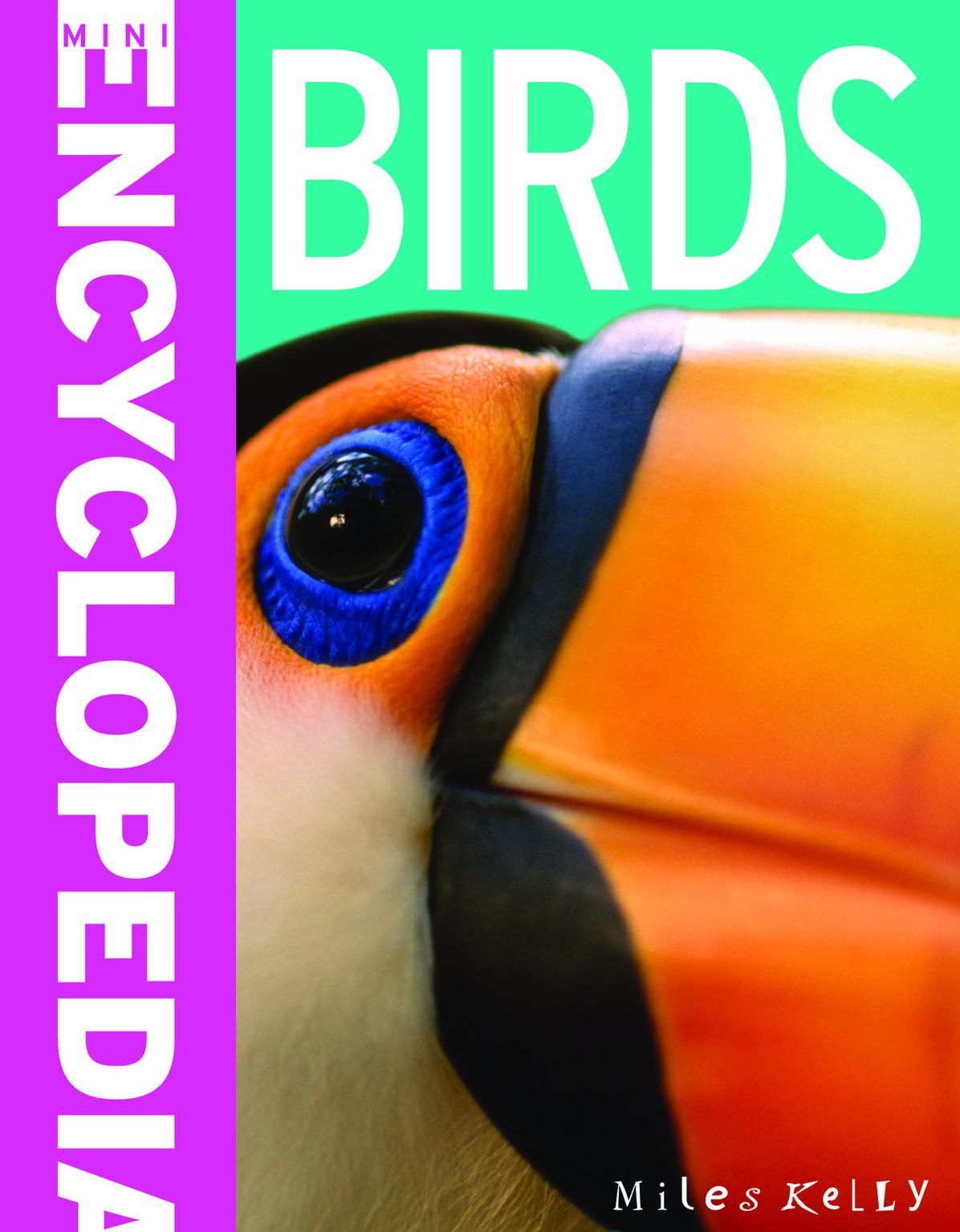 Birds (Mini Encyclopedias)