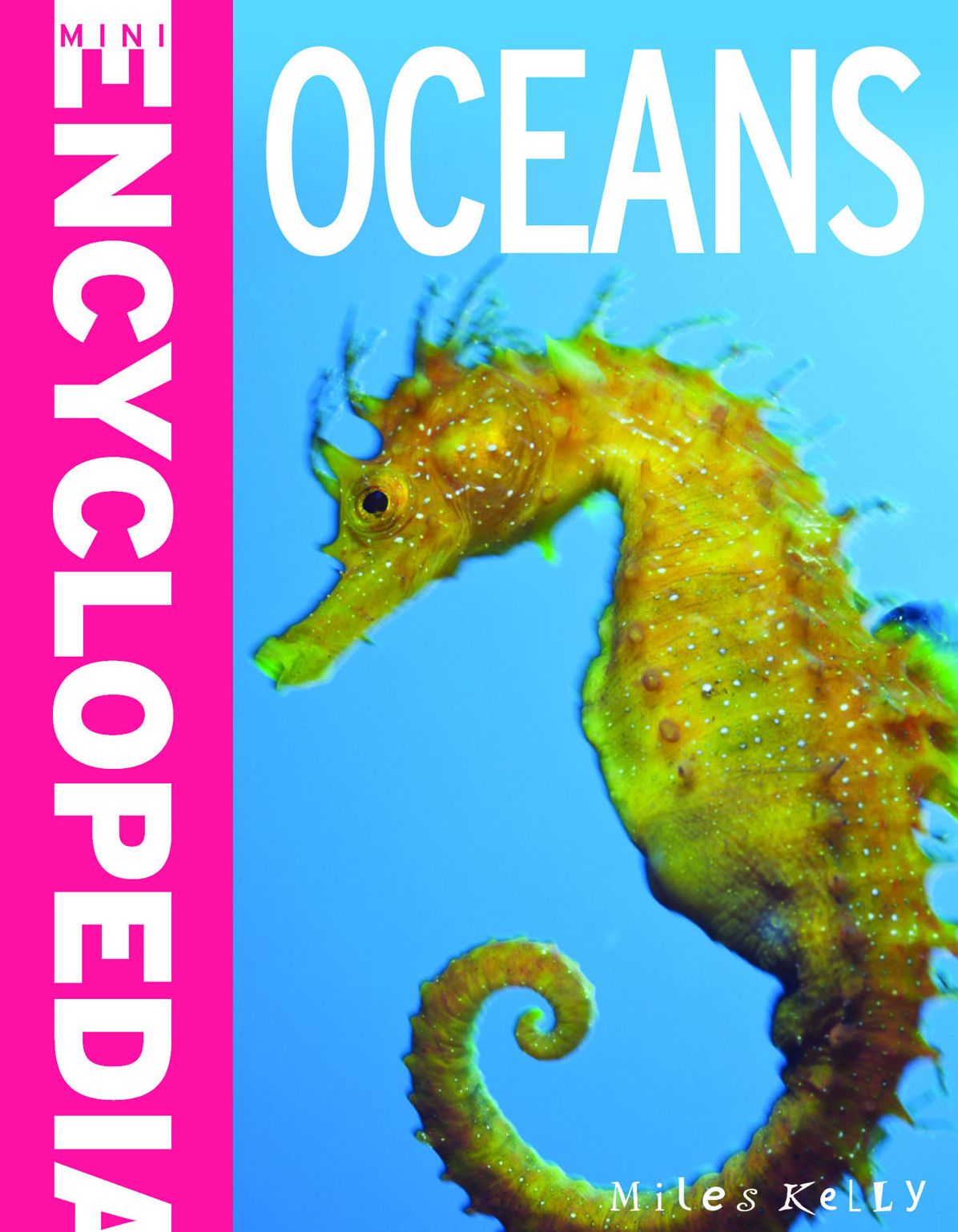 Oceans (Mini Encyclopedias)