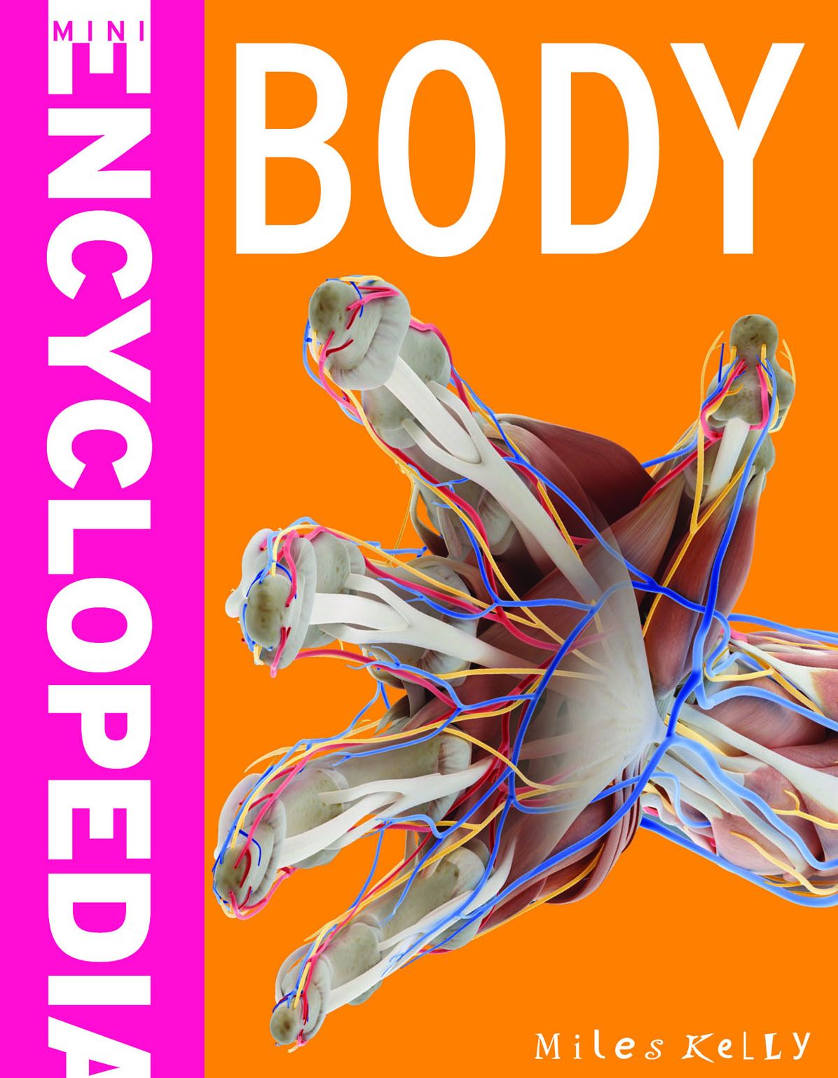 Body (Mini Encyclopedias)