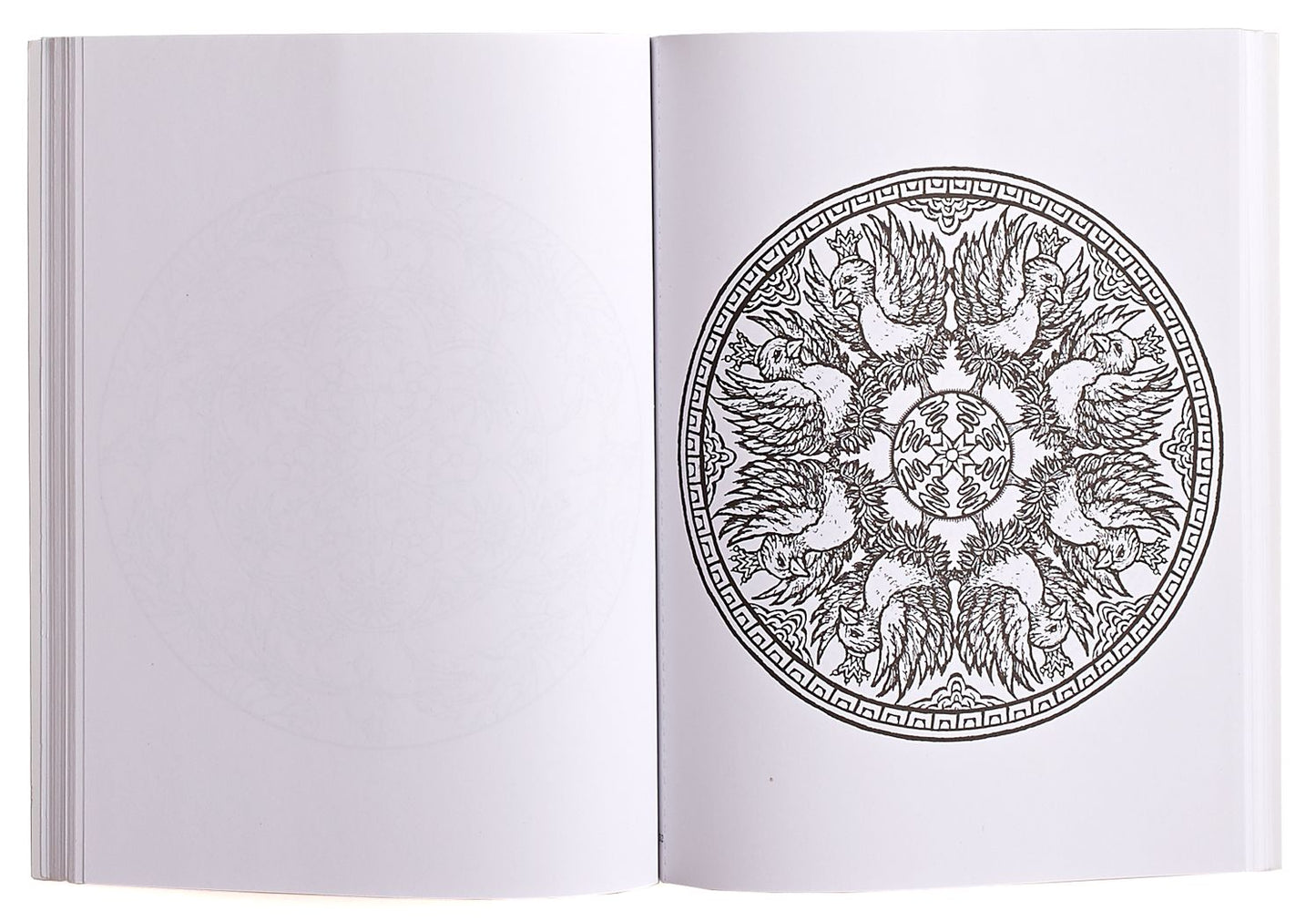 Mandalas Coloring Book