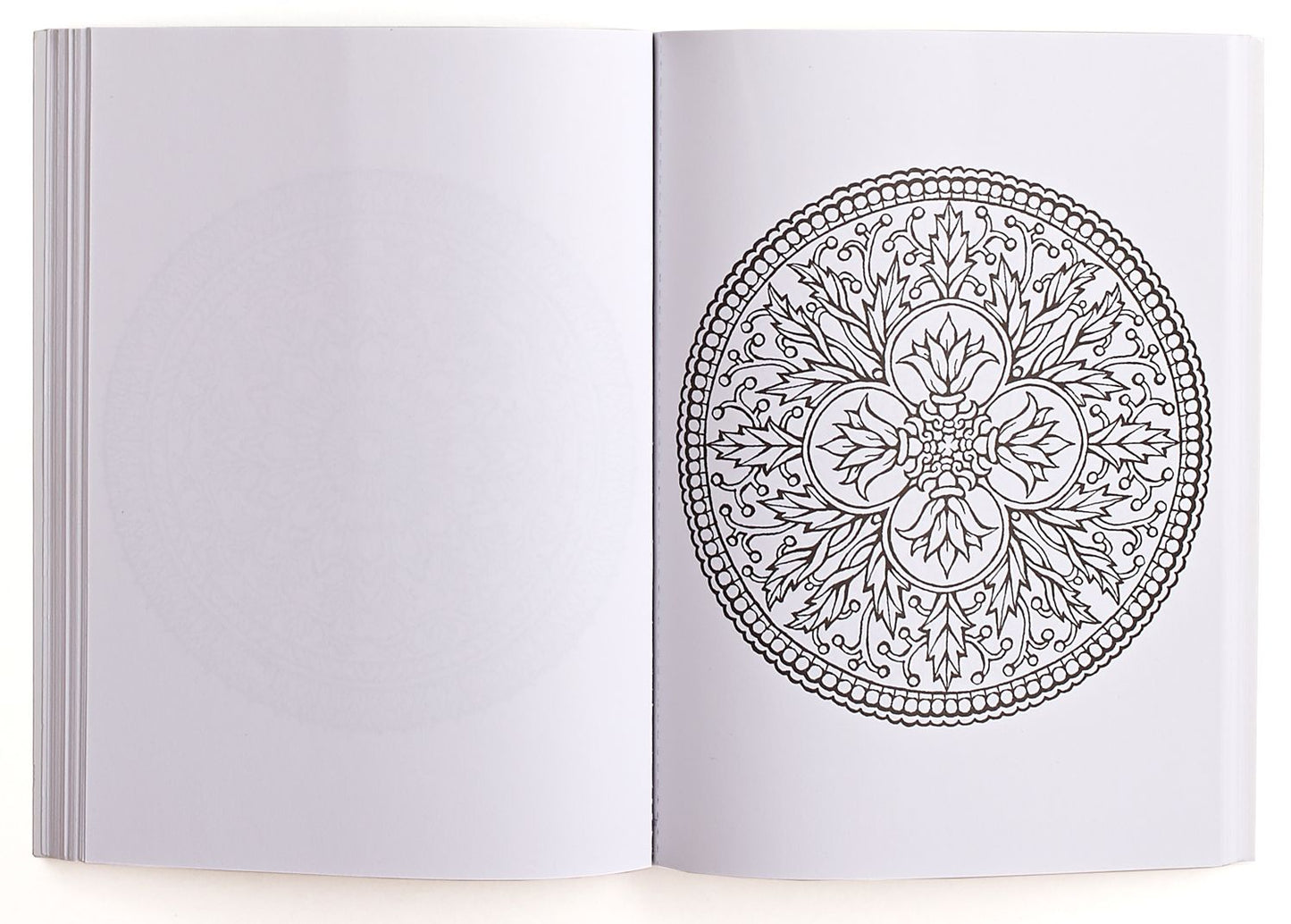 Mandalas Coloring Book