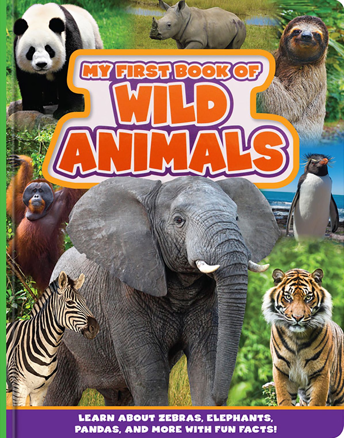My First Book of Wild Animals