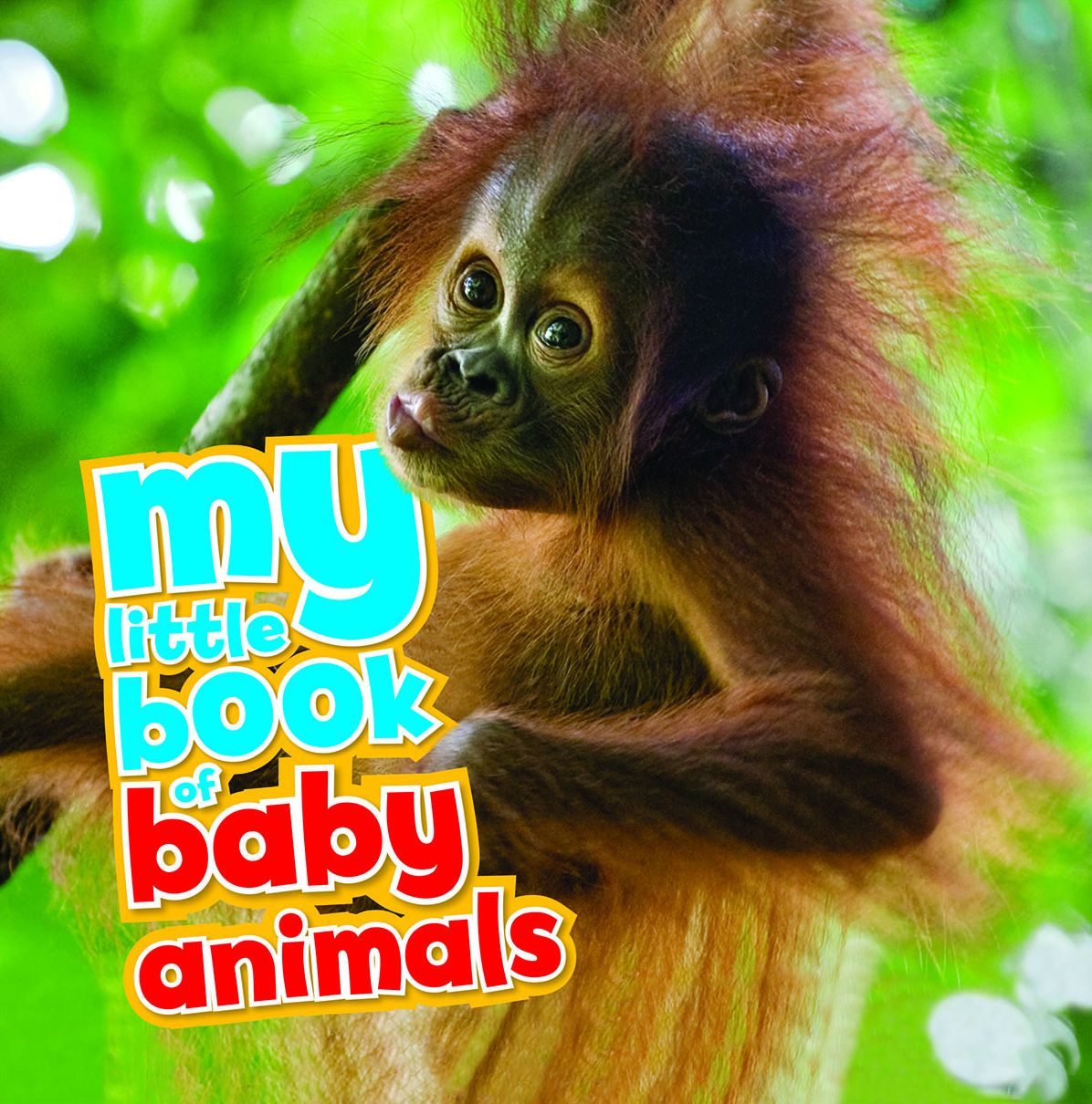 My Little Book of Baby Animals