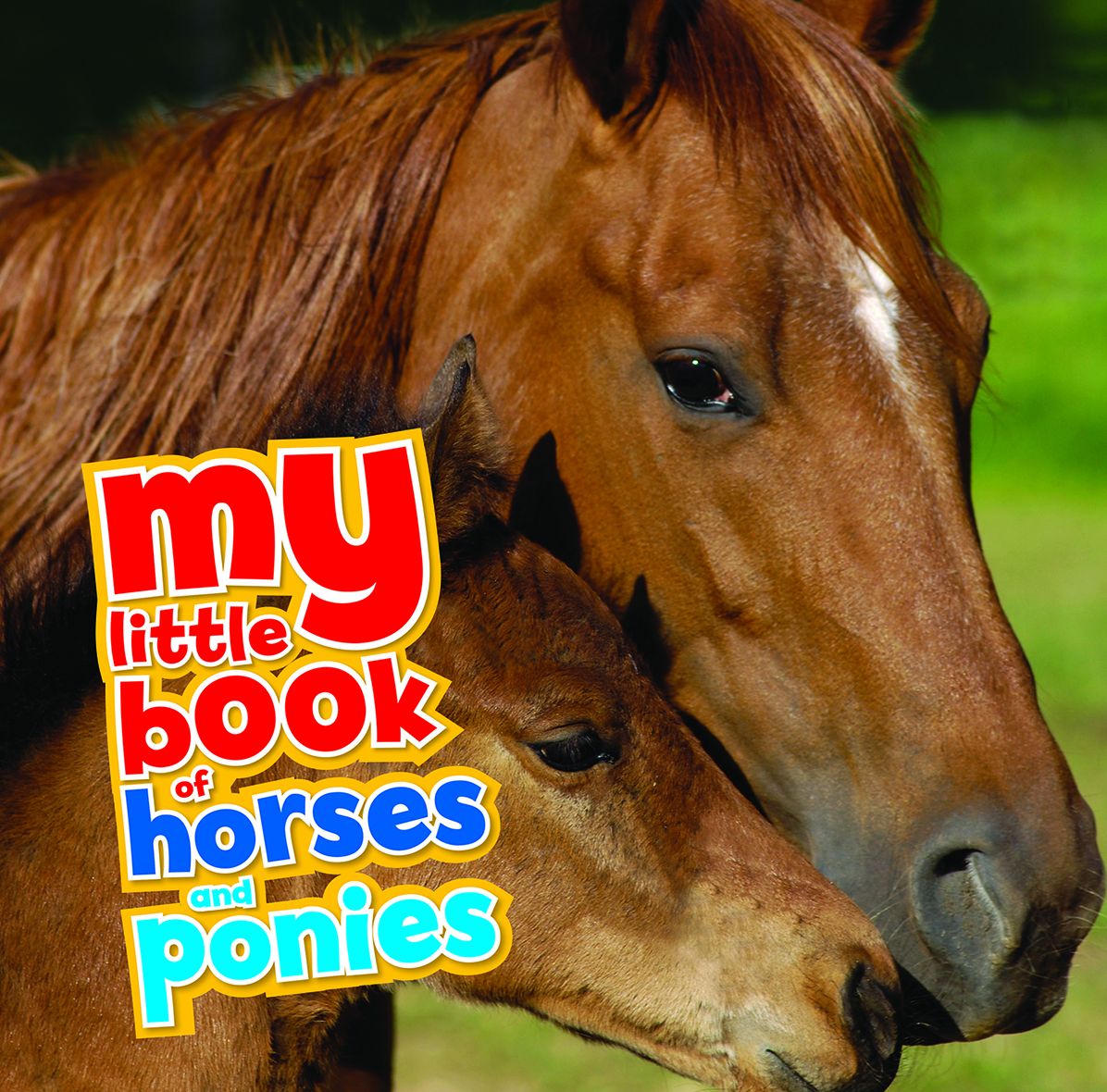 My Little Book of Horses and Ponies