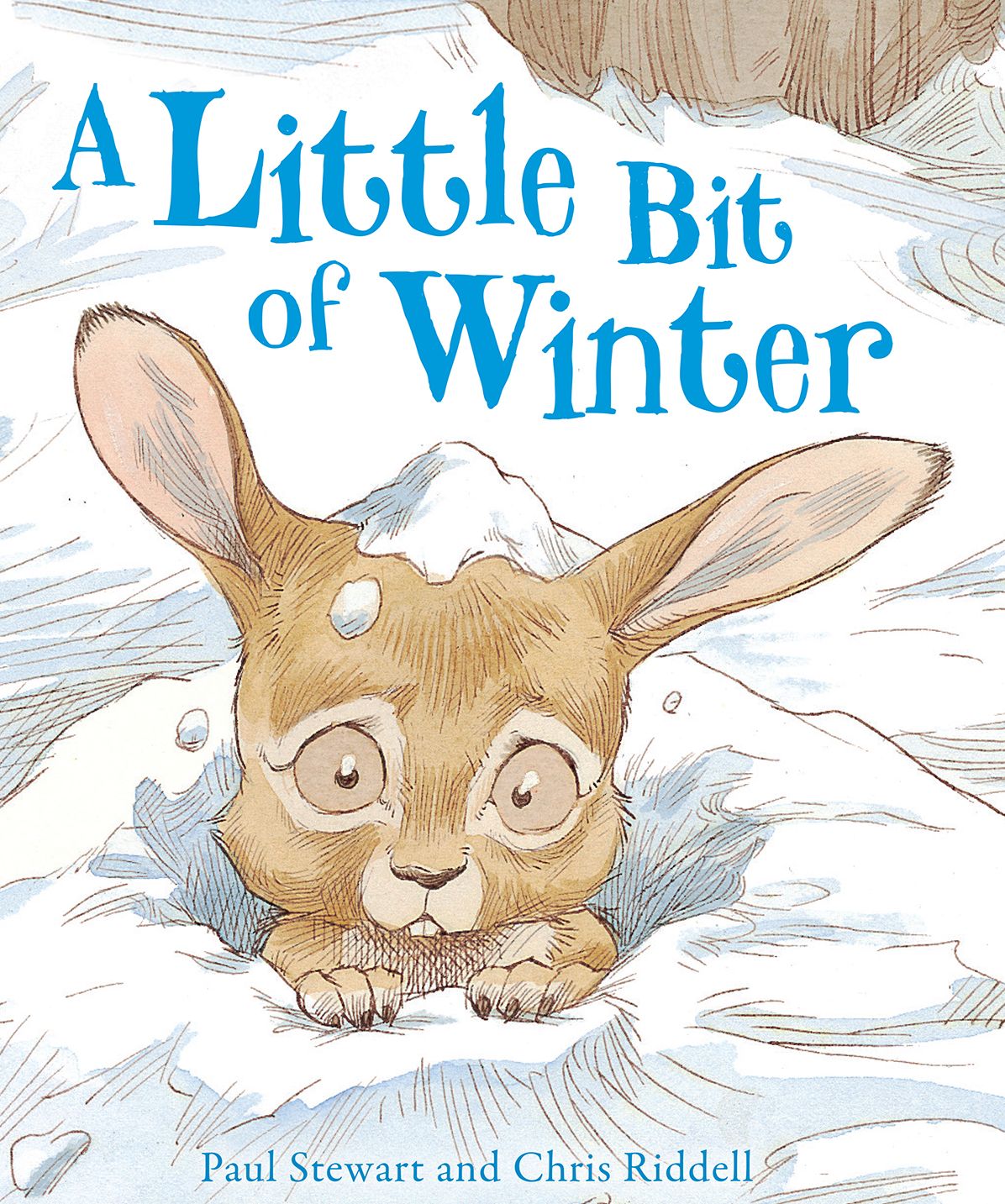 Little Bit of Winter