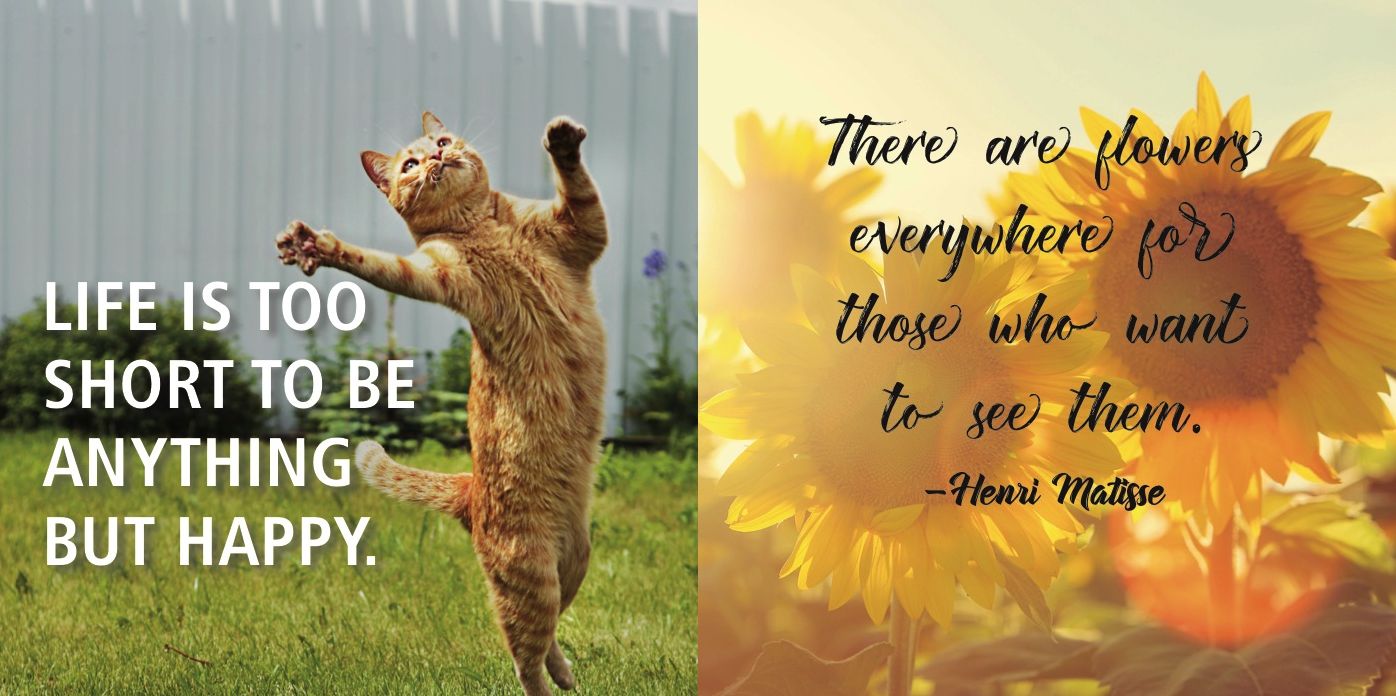 Make Every Day Beautiful