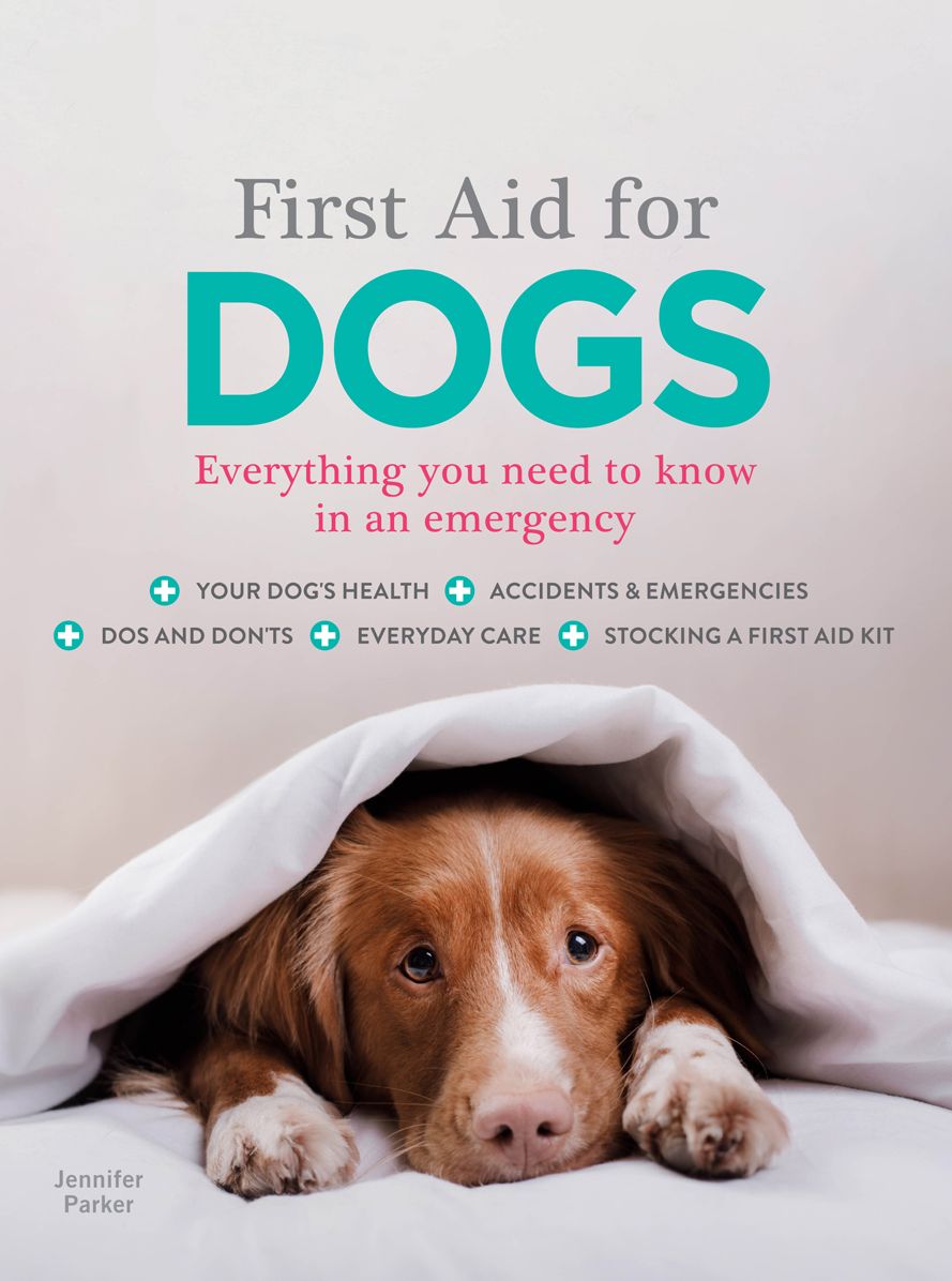 First Aid for Dogs