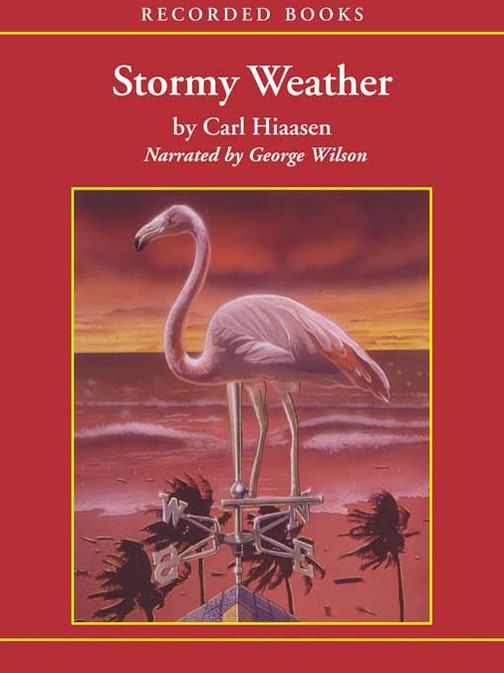 Stormy Weather: Skink Series, Book 3