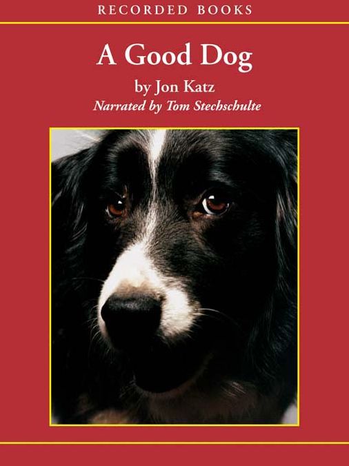 A Good Dog: The Story of Orson, Who Changed My Life