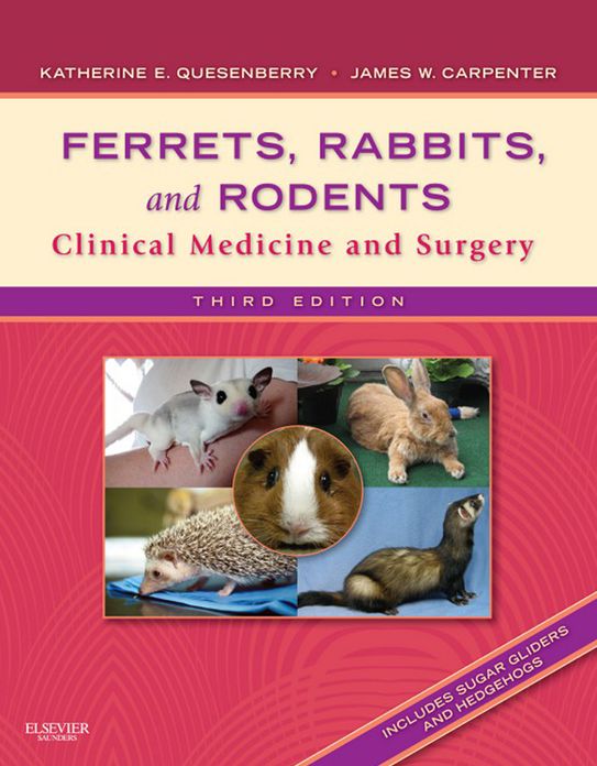 Ferrets, Rabbits and Rodents - E-Book: Clinical Medicine and Surgery
