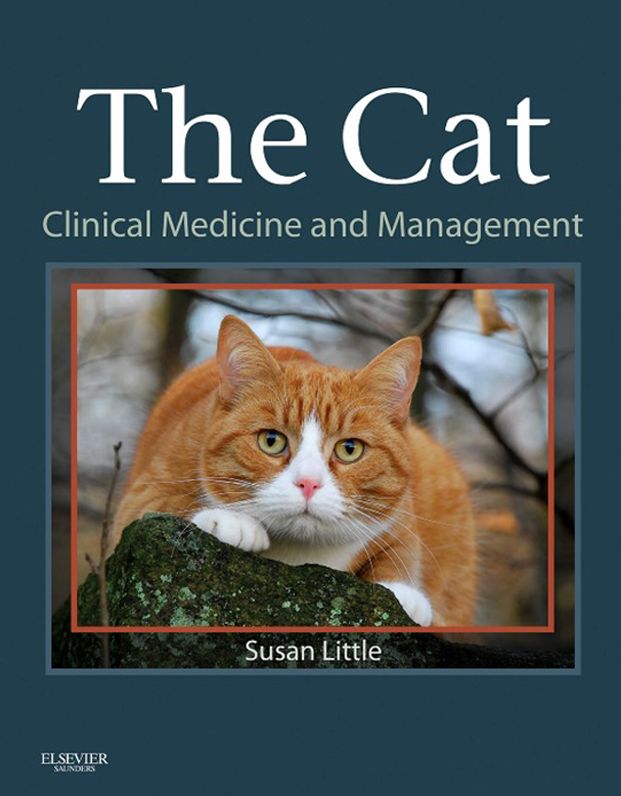 The Cat - E-Book: Clinical Medicine and Management