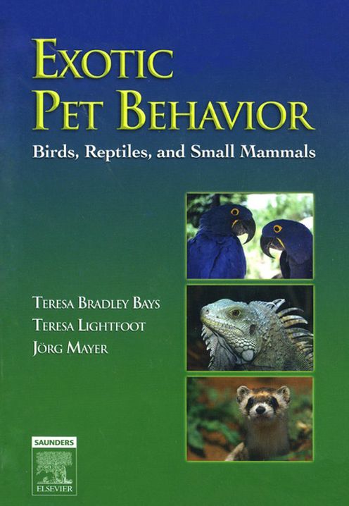 Exotic Pet Behavior E-Book: Birds, Reptiles, and Small Mammals