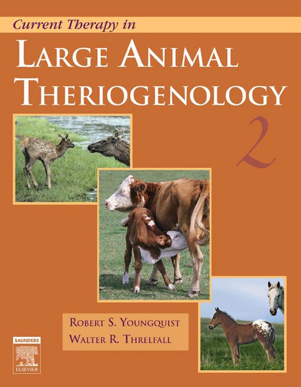 Current Therapy in Large Animal Theriogenology - E-Book