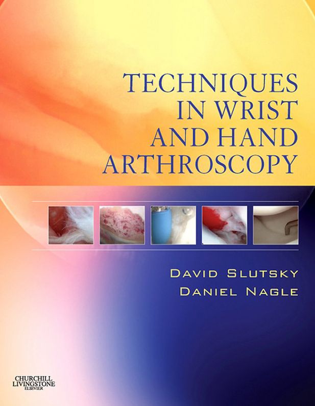 Techniques in Wrist and Hand Arthroscopy E-Book