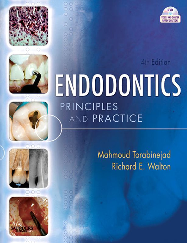 Endodontics - E-Book: Principles and Practice