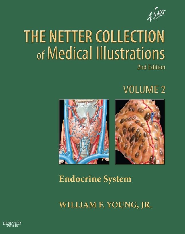 Netter Collection of Medical Illustrations: Endocrine System E-book: Volume 2