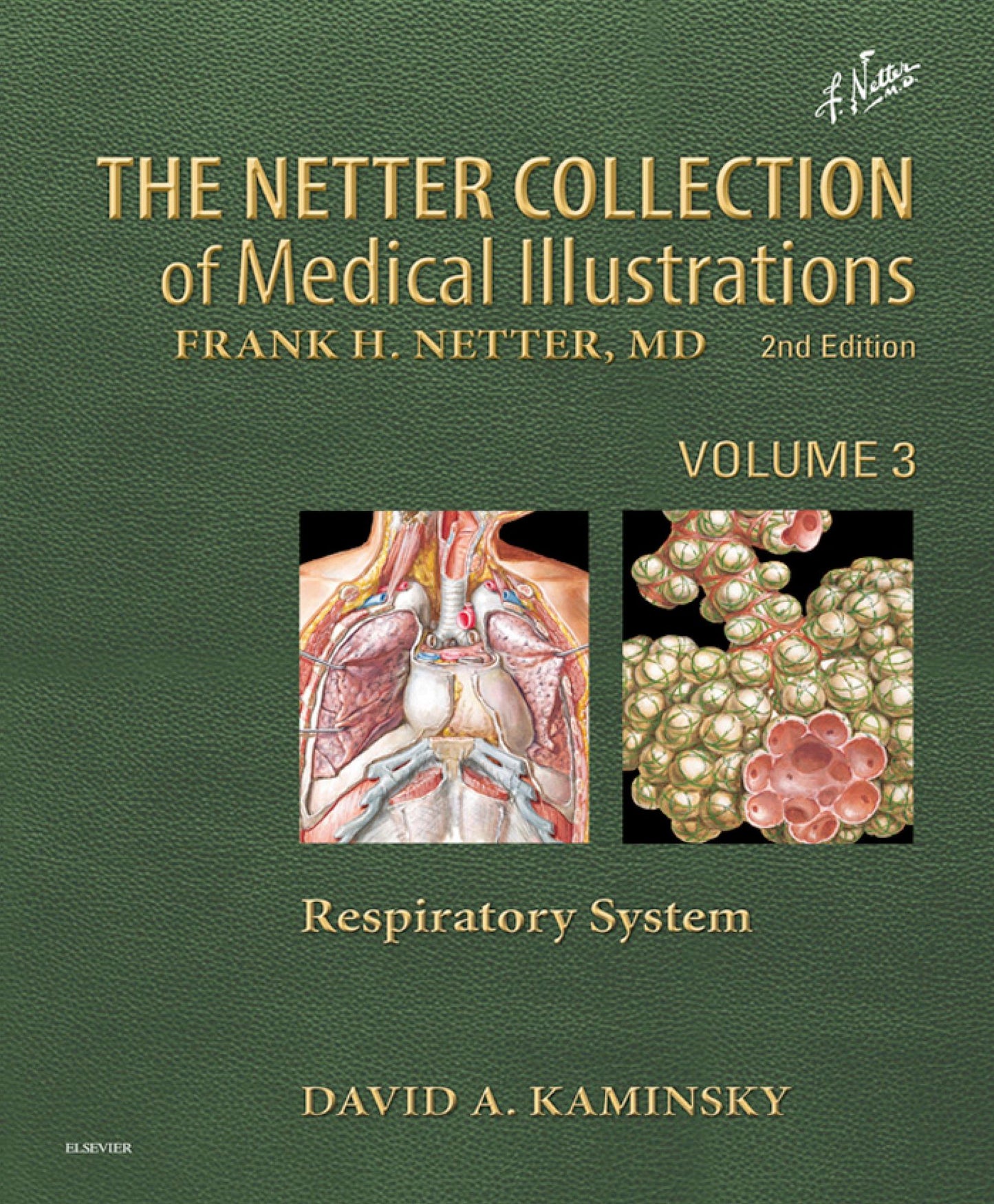 Netter Collection of Medical Illustrations: Respiratory System E-Book