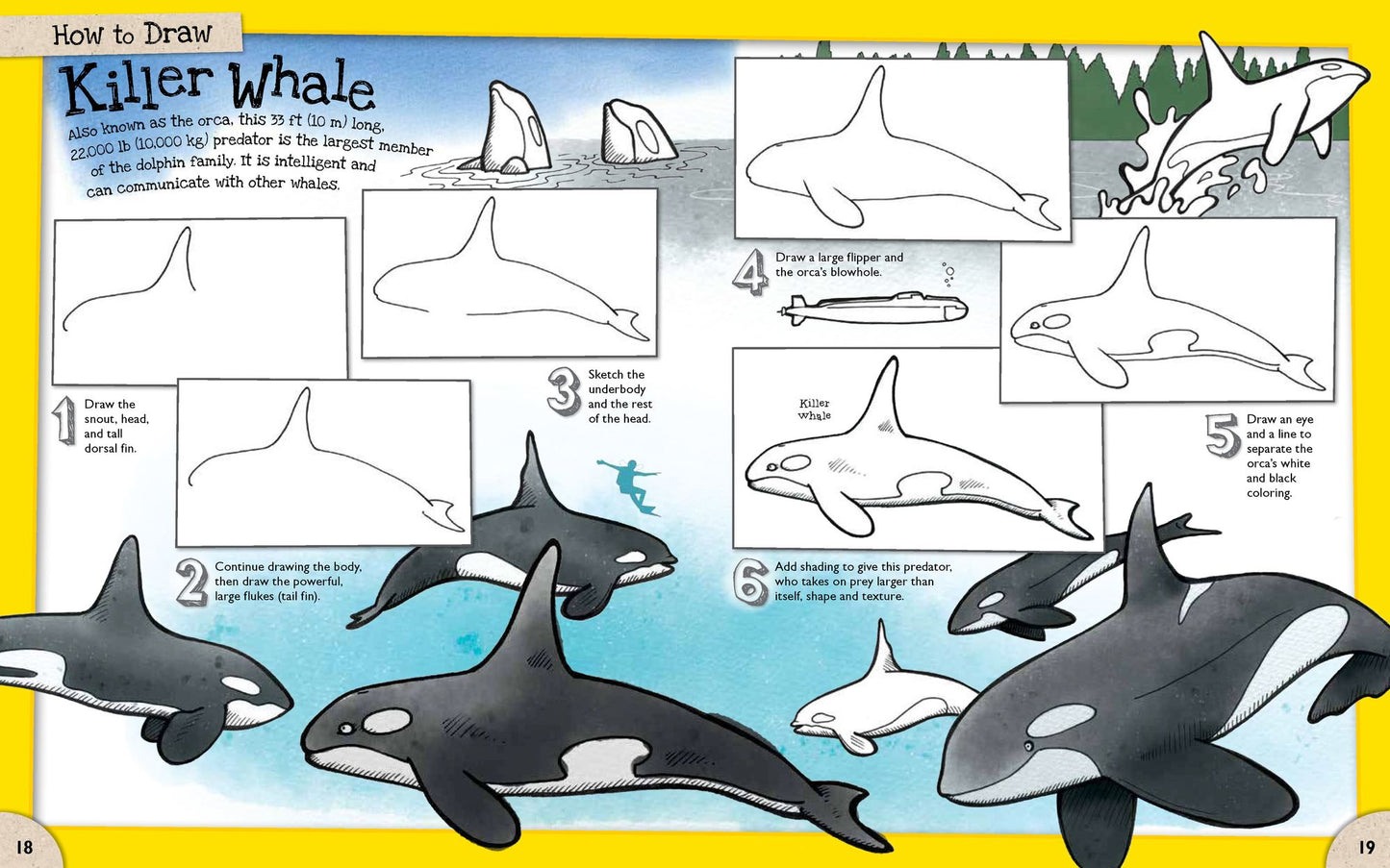 How to Draw Incredible Sharks and Other Ocean Giants: Packed with over 80 Creatures of the Sea