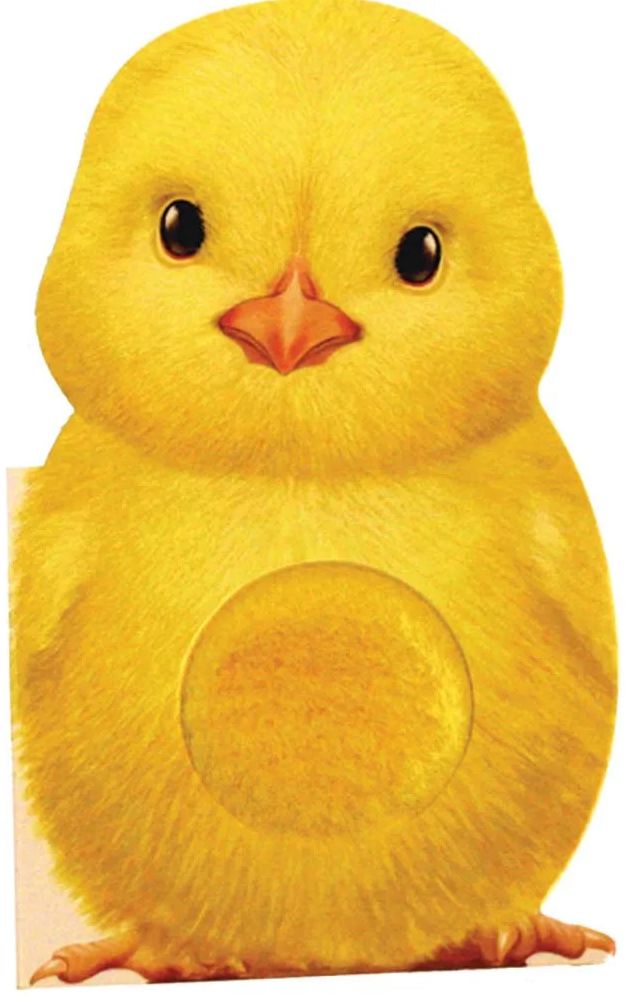 Furry Chick
