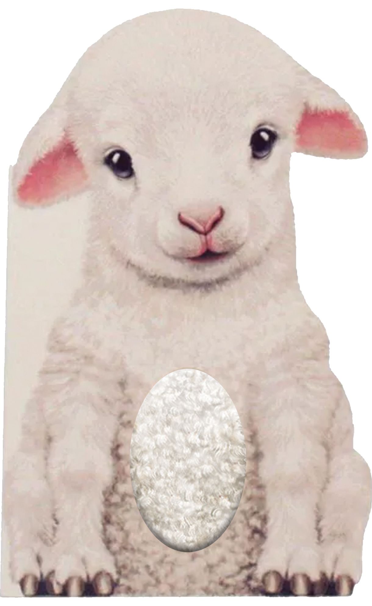 Furry Lamb