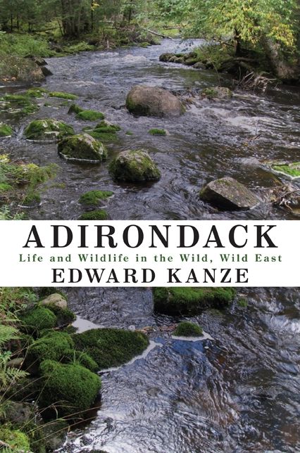 Adirondack: Life and Wildlife in the Wild, Wild East
