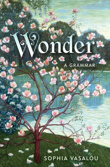 Wonder: A Grammar