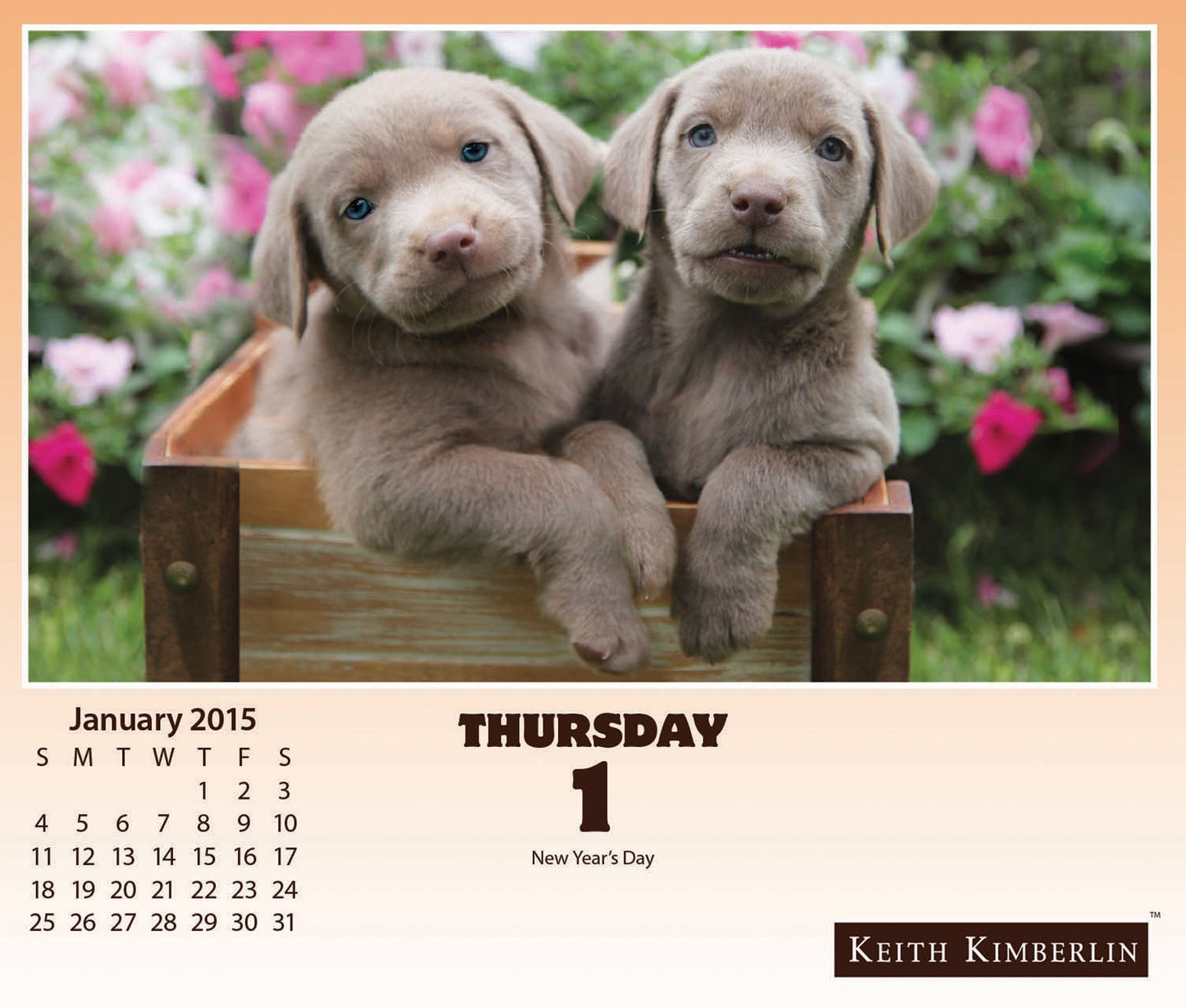 Keith Kimberlin - Puppies 2015 Calendar