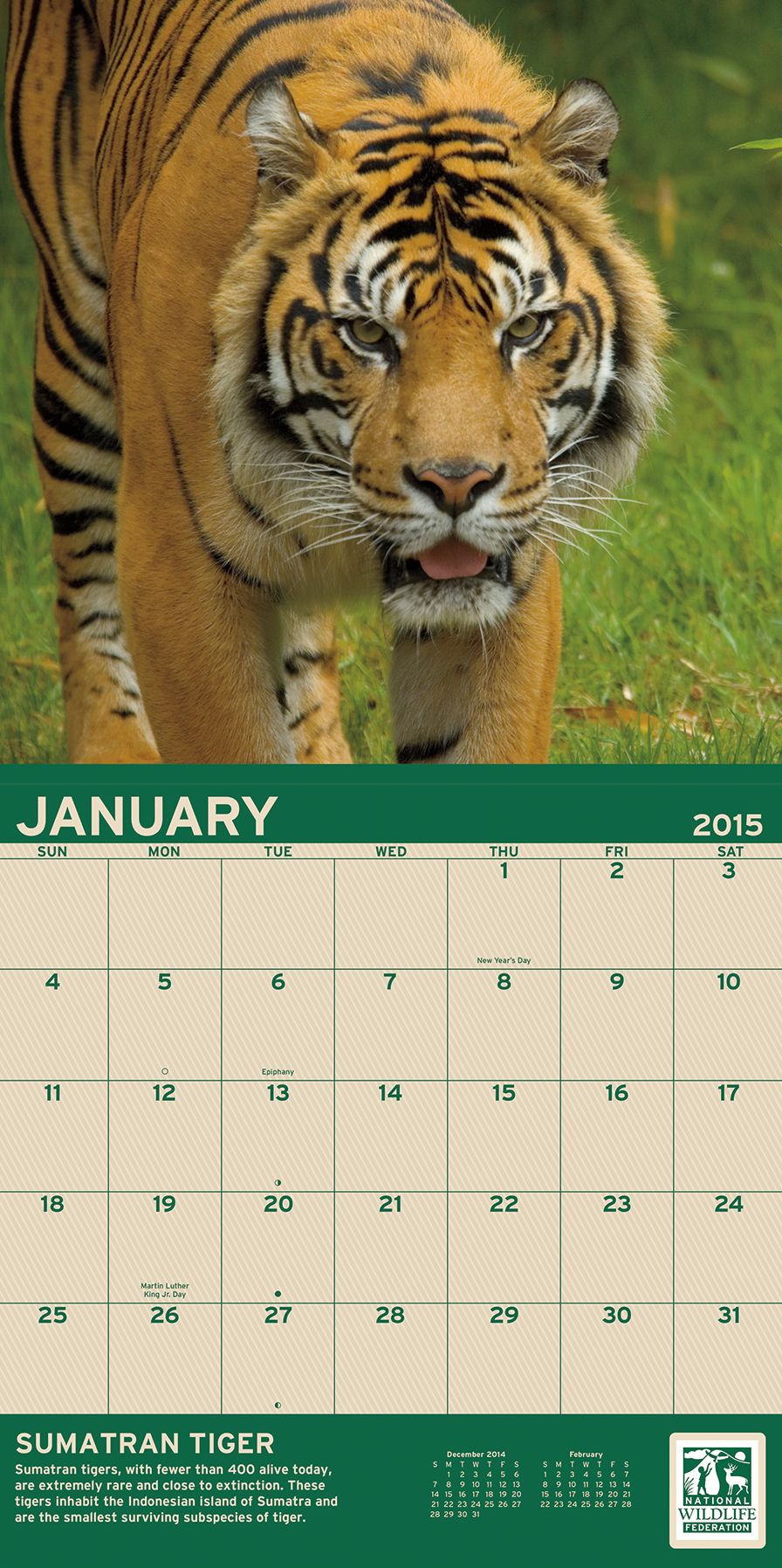 National Wildlife Federation 2015 Calendar