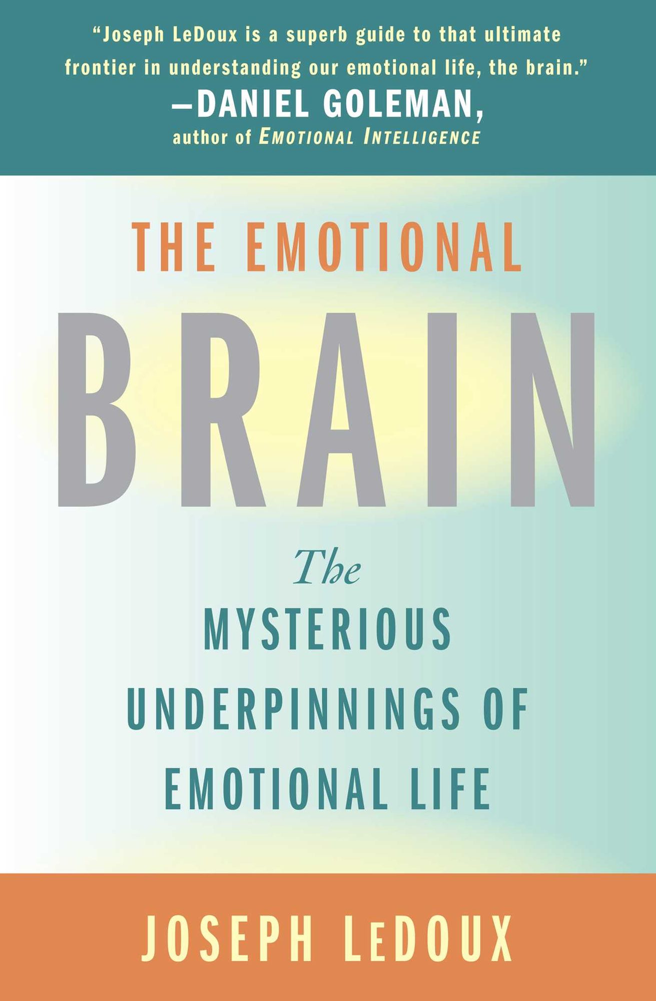 The Emotional Brain: The Mysterious Underpinnings of Emotional Life