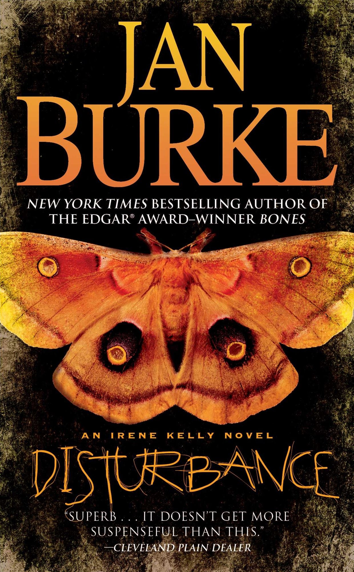 Disturbance (Irene Kelly Series #11)