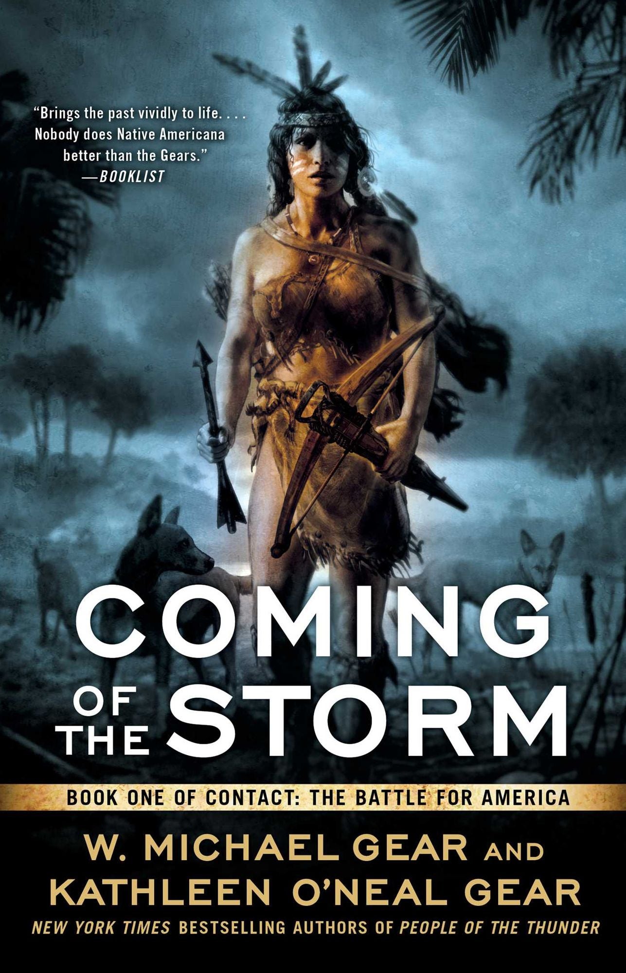 Coming of the Storm (Contact: The Battle for America Series #1)