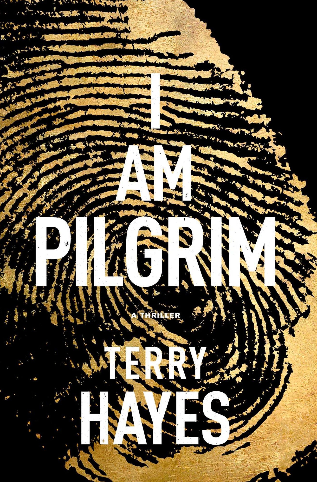 I Am Pilgrim