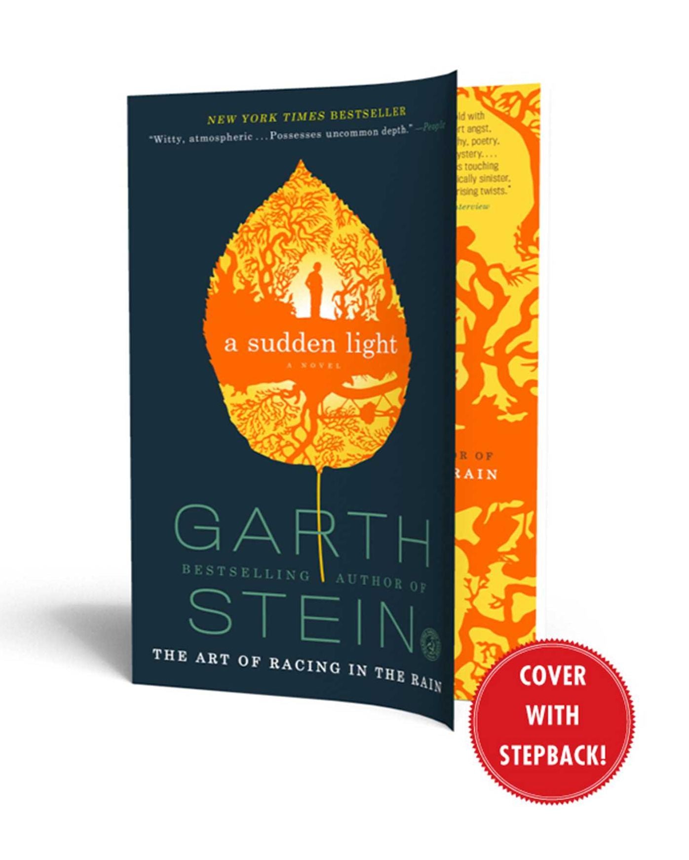 A Sudden Light: A Novel