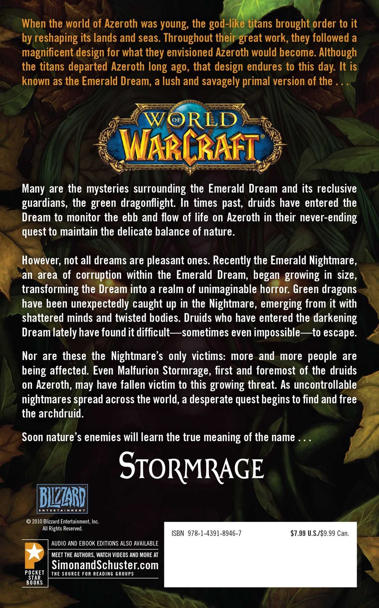 World of Warcraft: Stormrage