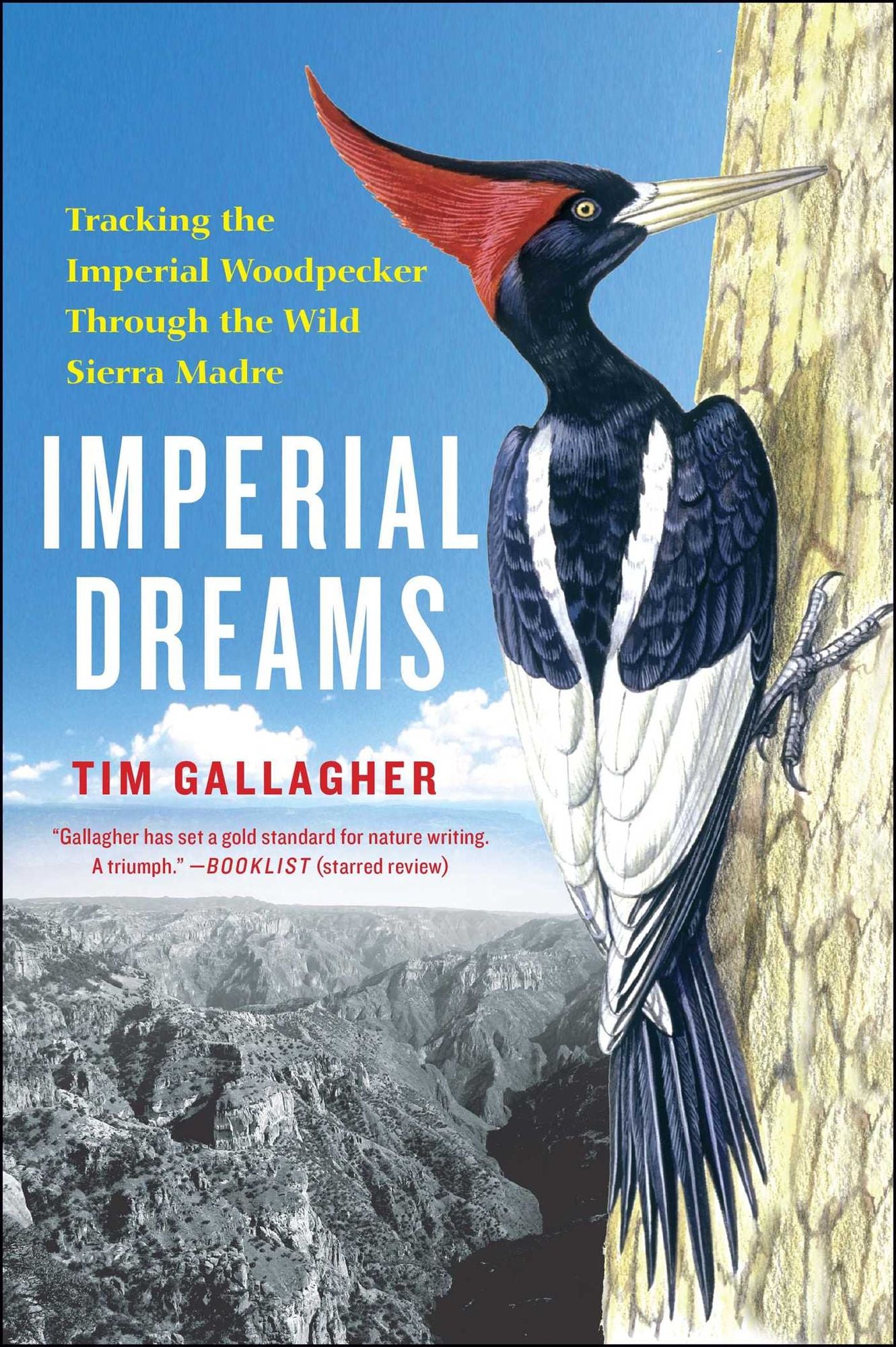Imperial Dreams: Tracking the Imperial Woodpecker Through the Wild Sierra Madre