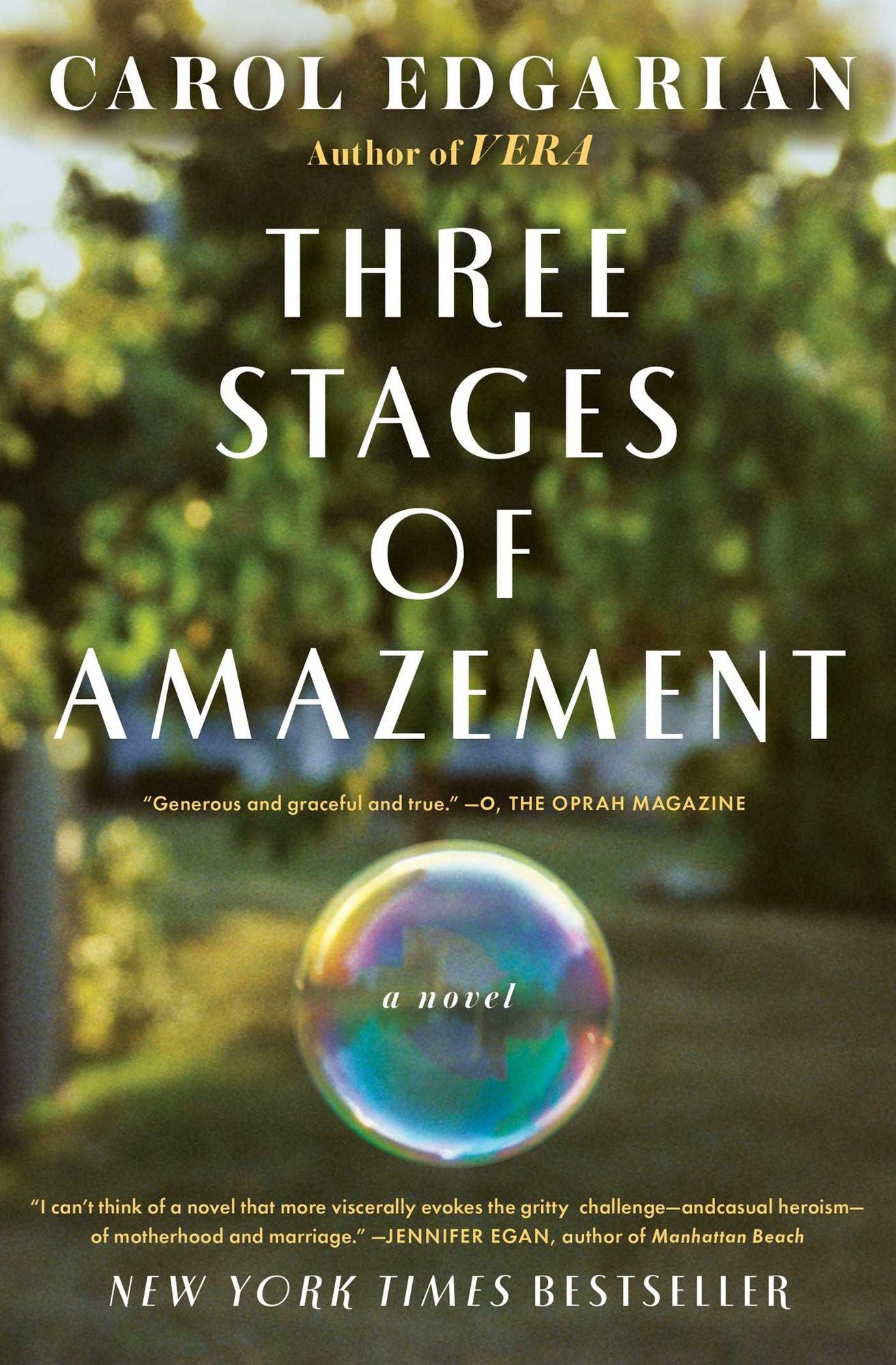 Three Stages of Amazement: A Novel