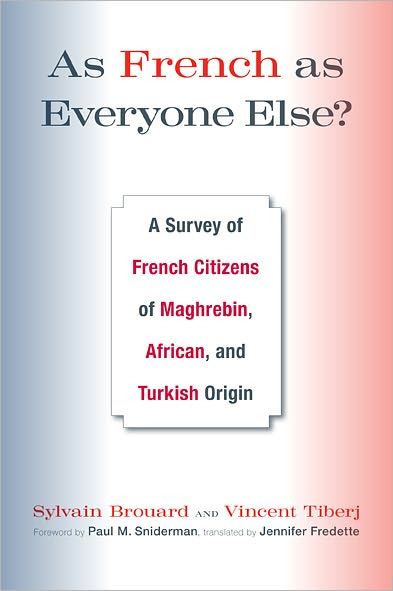 As French as Everyone Else?: A Survey of French Citizens of Maghrebin, African, and Turkish Origin