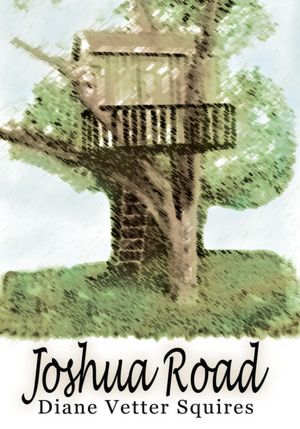 Joshua Road