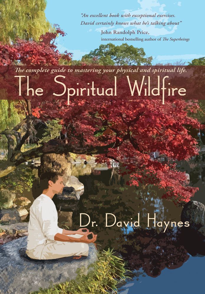 The Spiritual Wildfire: The complete guide to mastering your physical and spiritual life.