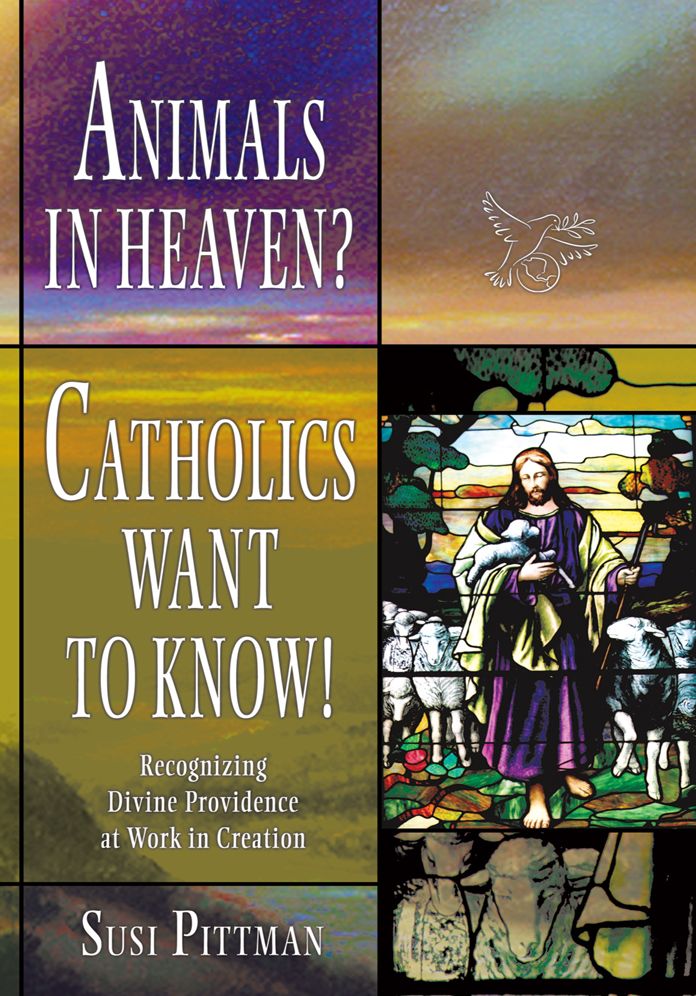 Animals in Heaven?: Catholics Want to Know!