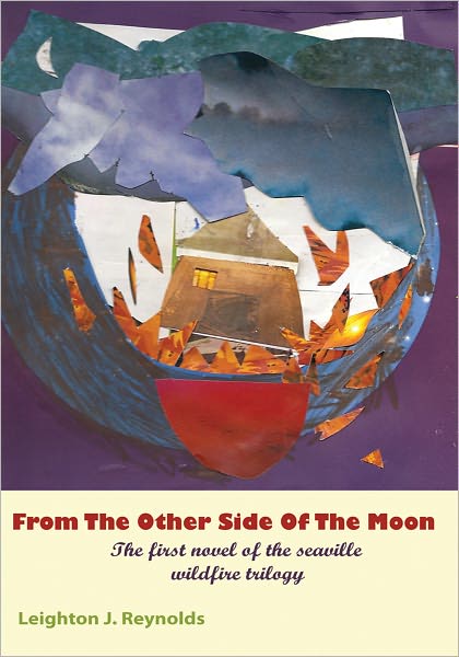 From The Other Side Of The Moon: The first novel of the Seaville Wildfire Trilogy