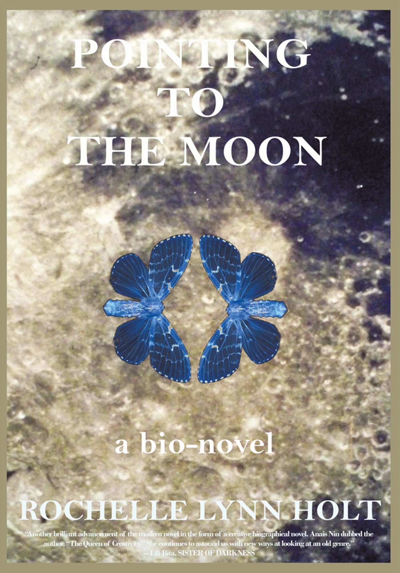 POINTING TO THE MOON: a biographical epistolary novel