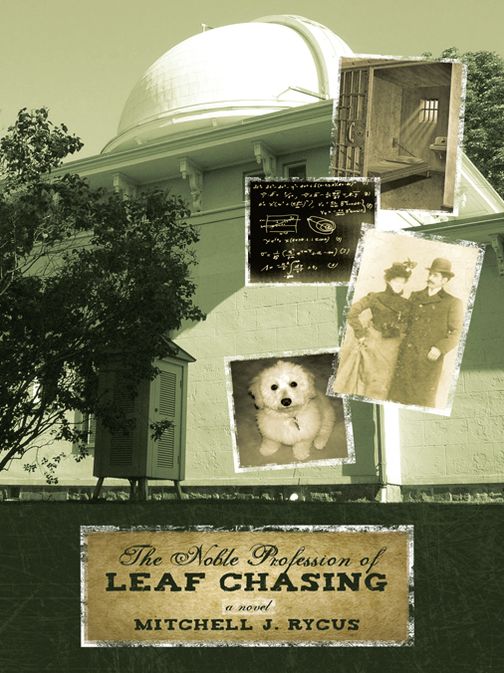 The Noble Profession of Leaf Chasing: A Novel