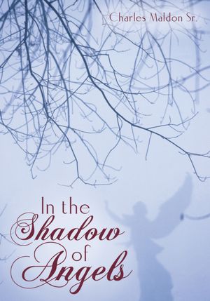 In the Shadow of Angels