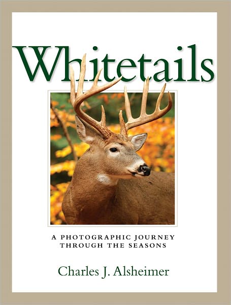 Whitetails: A Photographic Journey Through the Seasons (PagePerfect NOOK Book)