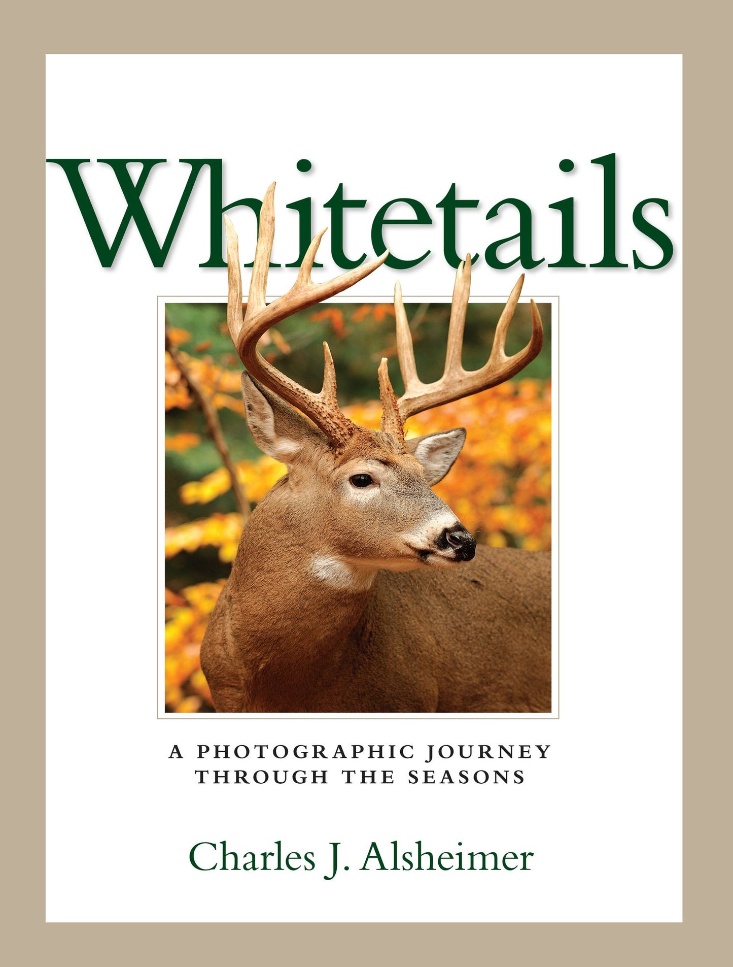 Whitetails: A Photographic Journey Through the Seasons