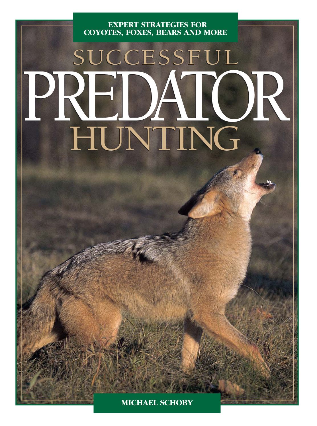Successful Predator Hunting